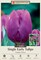 Purple Prince Single Early Tulip 7 Bulbs - 12/+ cm Bulbs